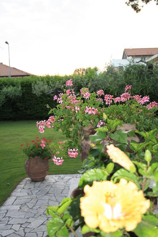 B&B Villa Acero มารีนาดีคาร์รารา ภายนอก รูปภาพ